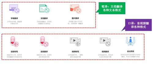 田亮 用科技力量打破语言巴别塔